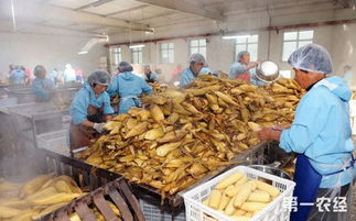 山西大同 農產品加工業銷售破43億元，產業結構優化升級